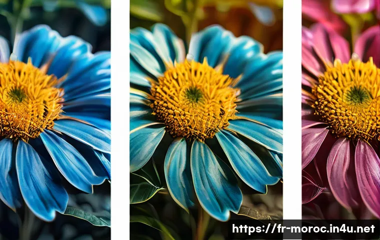 모로코에서 인플루언서 여행기 - Here are three detailed image prompts in English, adhering to all the specified guidelines: