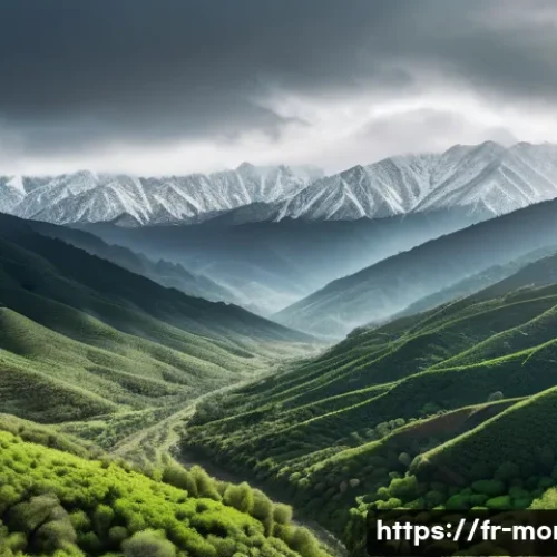 Home 33 모로코에서 비 오는 지역 - A panoramic view of the Middle Atlas mountains in Morocco during early spring, showcasing dense ceda...