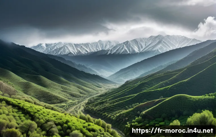 모로코에서 비 오는 지역 - A panoramic view of the Middle Atlas mountains in Morocco during early spring, showcasing dense ceda...